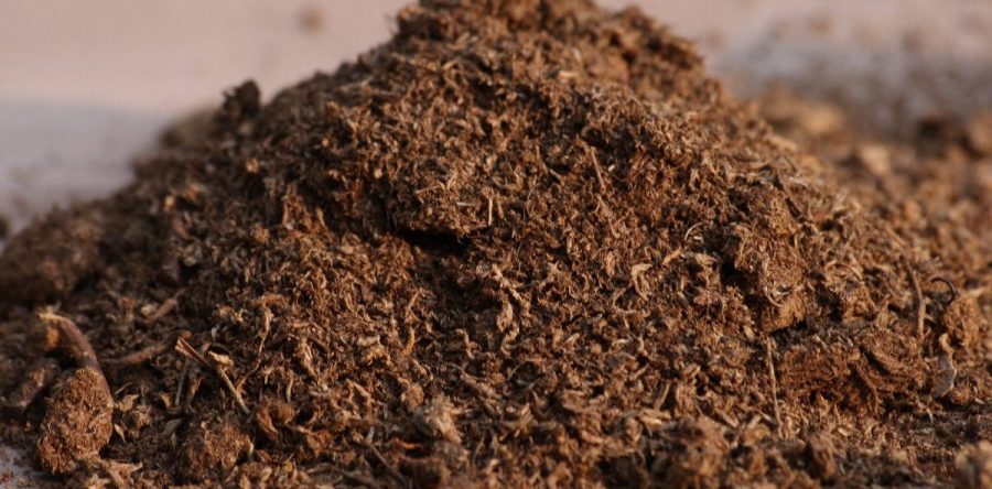 Peat Moss