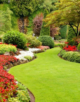 Jardines coloridos