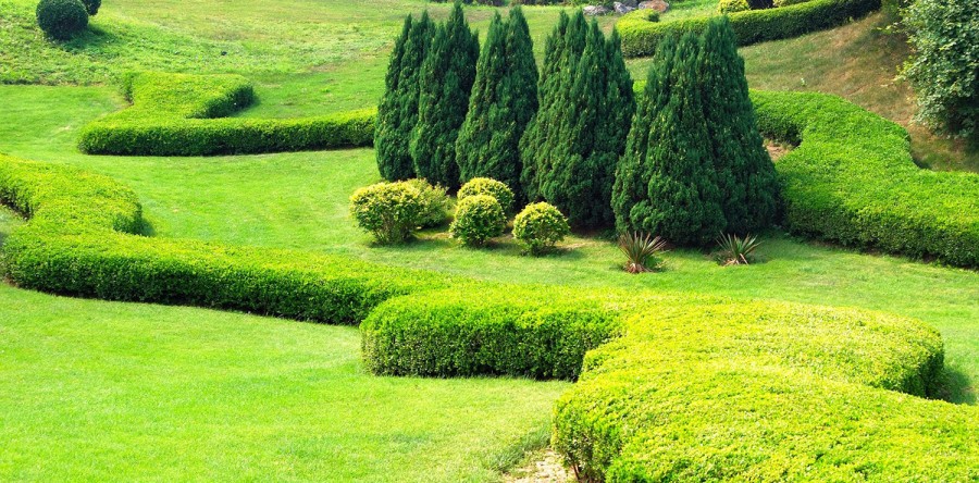 Sed ut perspiciatis unde omnis iste